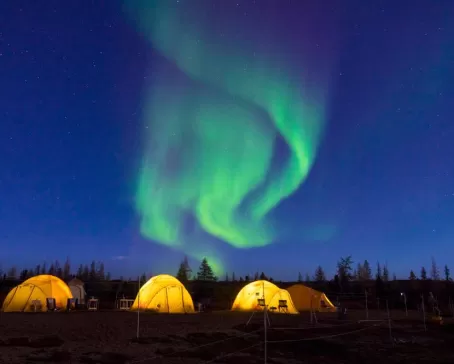 Northern Lights in Tundra camp