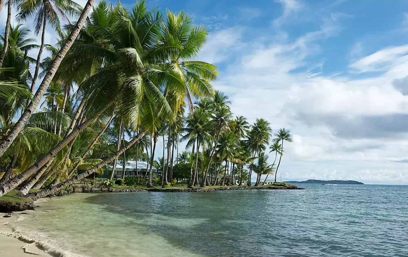 Palm tree lined resort on the Island of Chuuk, Micronesia