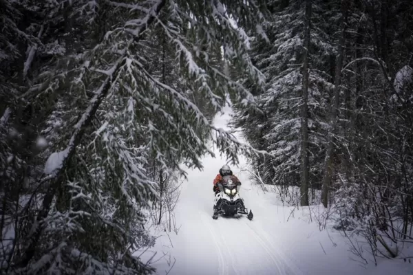 Snowmobiling in Boreal forest