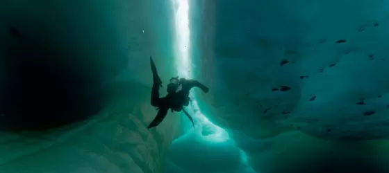 Ice diving in the Arctic