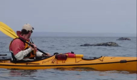 Sea kayaking with humpback whales 