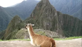 Our arrival at Machu Picchu