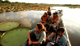 Boating by lily pads in Guyana