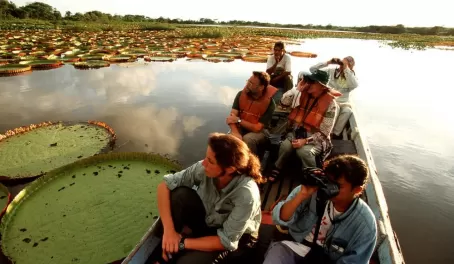 Boating by lily pads in Guyana