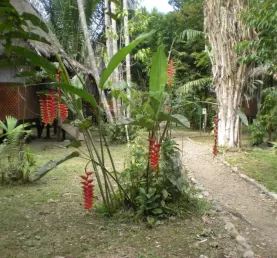 Cottages & Garden, Manu Wildlife Ctr