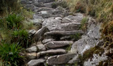 Typical steps on the Trail