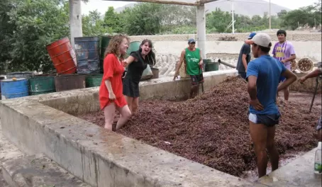 Lucy and Ethel!  Grape stomping at a winery in Peru