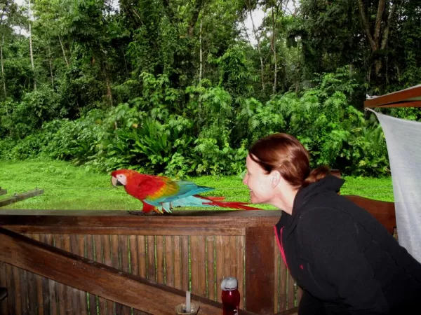 Lee with one of the chicos at TRC.  Really great TRC lets you get so up close and personal with these macaws.