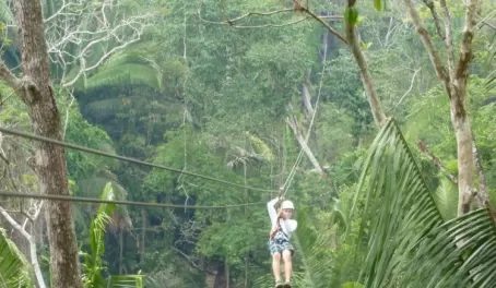 Ziplining through the rainforest!
