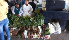 Herbal Medicine Market