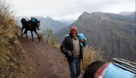 Don Francisco and horse assisted trek