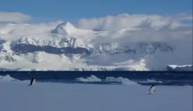 Typical Antarctica vista
