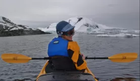Kayaking past a penguin rookery