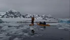 Stand up paddleboarding in Antarctica!
