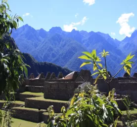 Machu Picchu