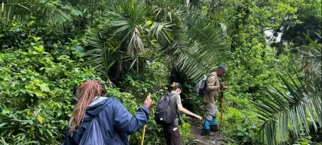 Kyambura Gorge Hike - chimpanzee tracking (without much luck)