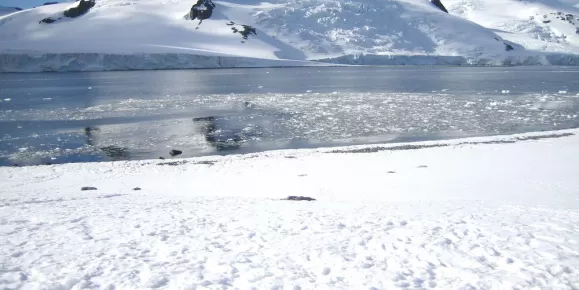 Landscape during Antarctica tour