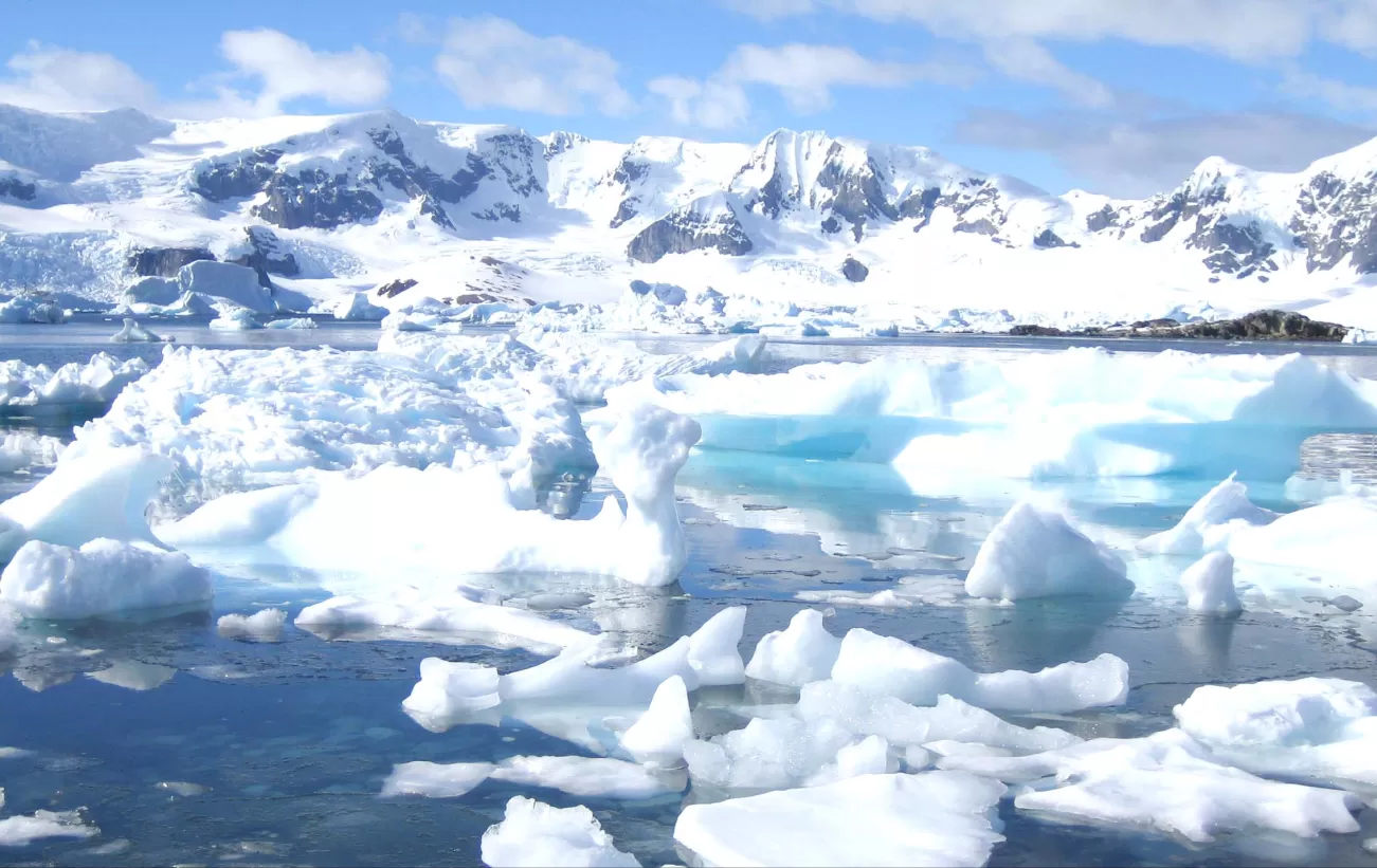 Iceberg Flow during Trip to the Antarctic Peninsula