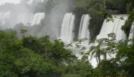 Iguazu Falls and Rain Forest