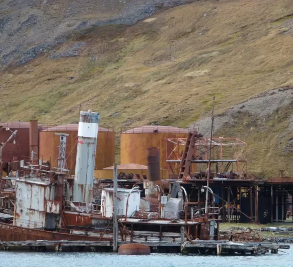 Grytviken: a strange beauty from an ugly past 