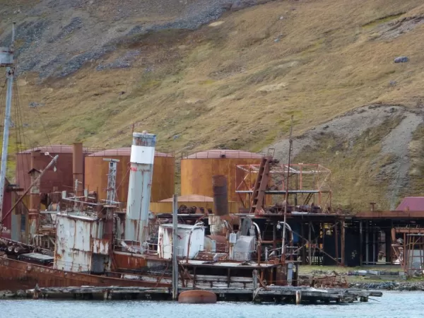 Grytviken: a strange beauty from an ugly past 