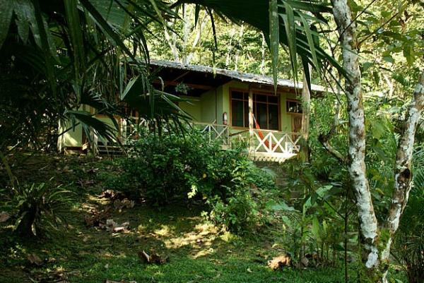 Yachana Lodge - hotels for our Ecuadorian Amazon Tours