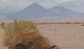 Atacama Desert excursion begins