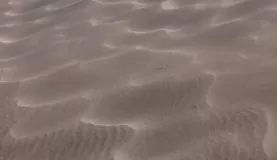 Dunes at the Canyon