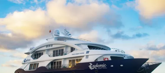 M/C Endemic Yacht