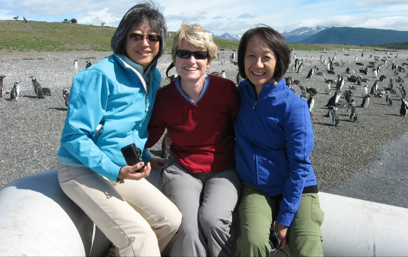 Three Amigas and penguins