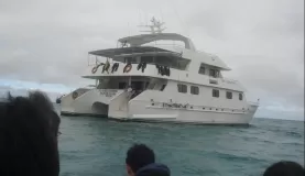 The Galapagos - Seaman II
