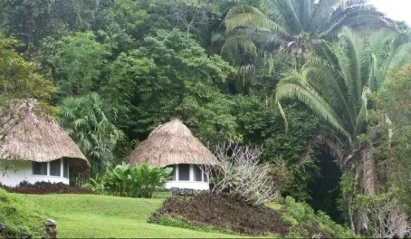 Pooks Hill Jungle Lodge