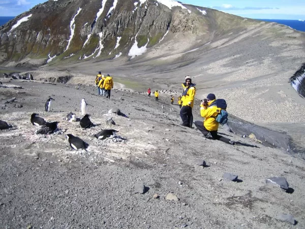 Travelers photographing penguins during Antarctic trip