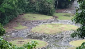 Stone foundations at Guayabo National Monument Archaeological Site