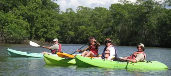 Kayaking at the Hatillo Mangroves