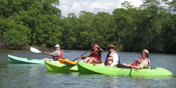 Kayaking at the Hatillo Mangroves
