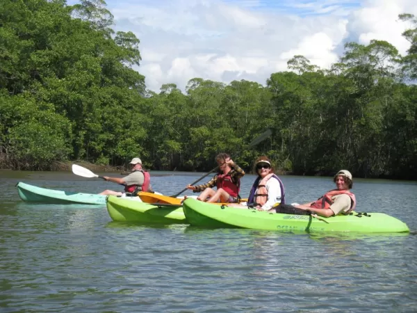 Kayaking at the Hatillo Mangroves