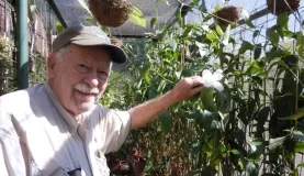 Robert Dressler with a Sobralia at Lankaster Gardens