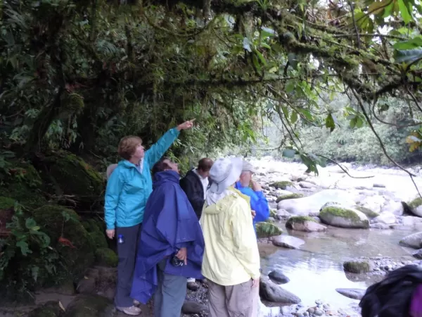 Lepanthes sightings at the water's edge.