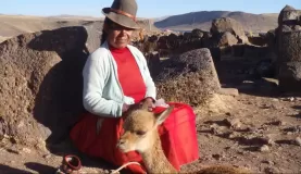 A women with her baby alpaca