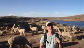 Tomas contemplating a new career in llama herding