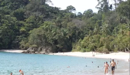 Playa Manuel Antionio