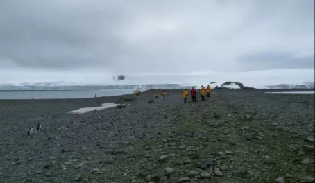 Exploring the shores of Antarctica