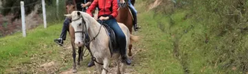 Horseback Riding outside of Cuenca
