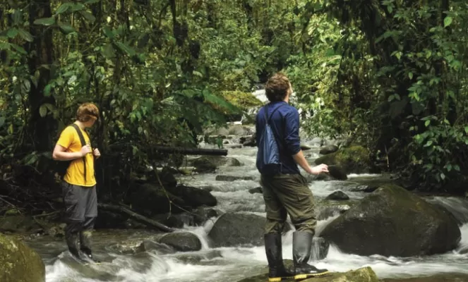 Explore the realm of the rainforest with expert naturalists