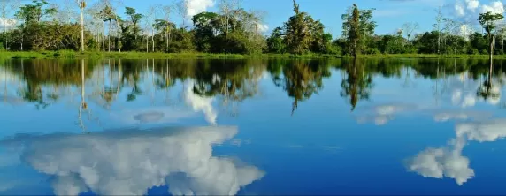 The Amazon River