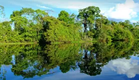 A lovely reflection off the Amazon River