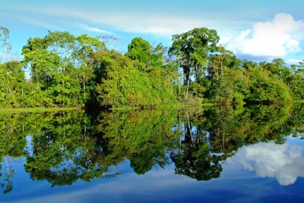 A lovely reflection off the Amazon River