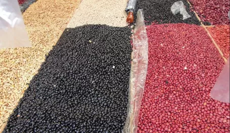 Beans in Mexico
