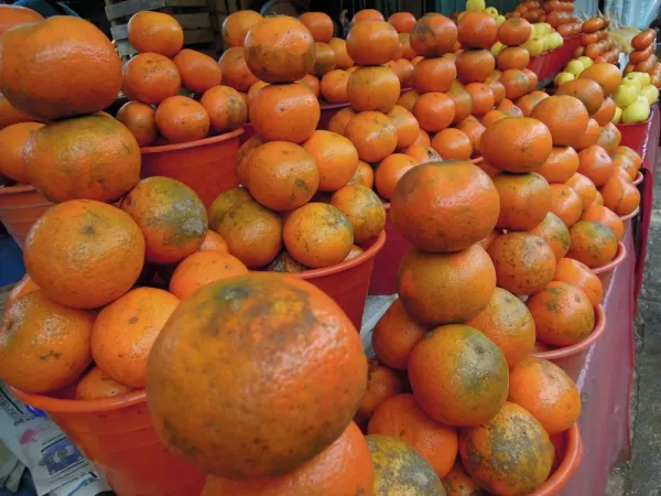 Oranges stacked at a market in Mexico